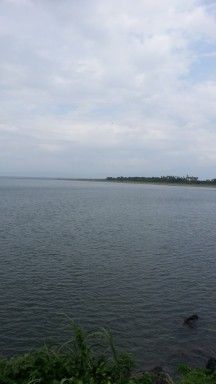 20130702_134430.jpg