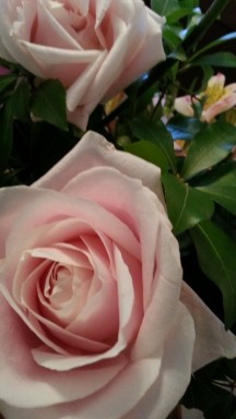 20150315_140602.jpg